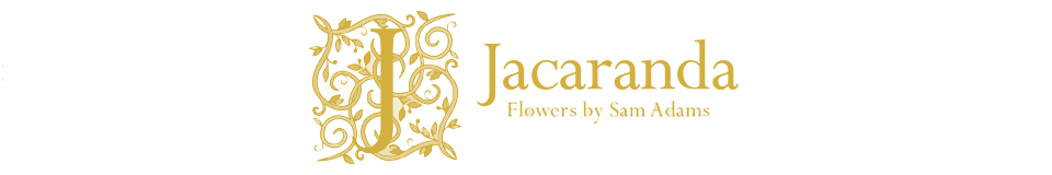 Jacaranda Flowers