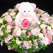 Teddy Bear Picnic
