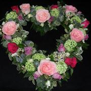 Open Heart Tribute