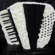 Accordian