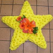 Star Tribute