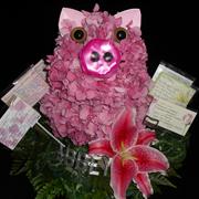 Pink Pig