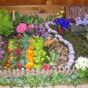 Flower Garden