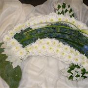 Dolphin Funeral Tribute