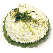 White &amp; Green Based Posy