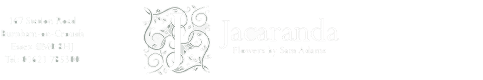 Jacaranda Flowers